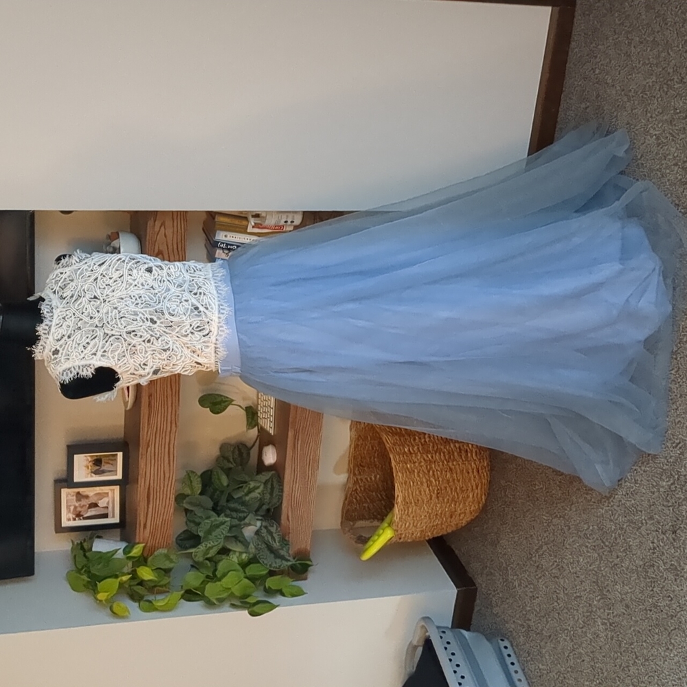 Blue tulle skirt and white cropped top